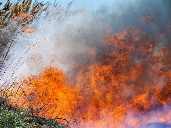МЧС предупредило волгоградцев о чрезвычайной пожароопасности 19 – 21 июня