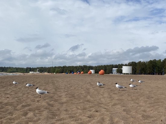 Волейбольные стойки и навесы: завершилось благоустройство Кремлевского пляжа