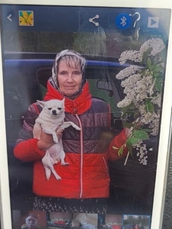 В Курске разыскивают пропавшую 73-летнюю женщину с белой чихуахуа