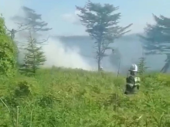 Лесной пожар площадью 1 га потушили в центральной части Сахалина