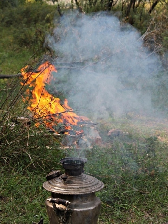 Жителей Тамбова предупредили об осторожности при обращении с огнём