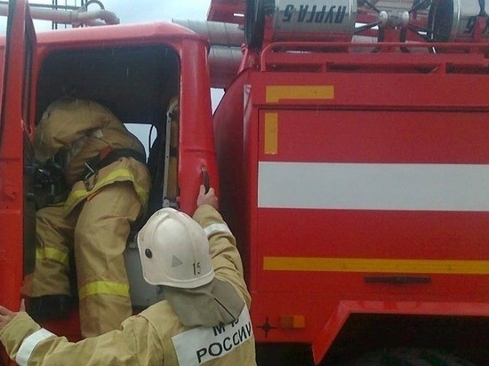 В Калининградской области пожарные дважды тушили мусор