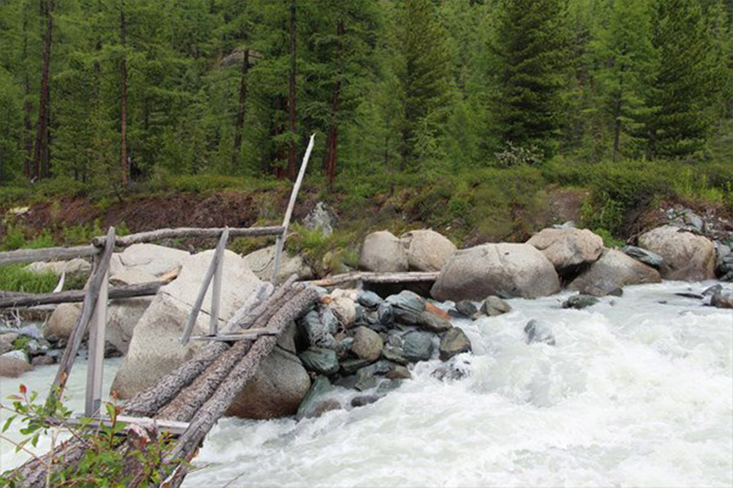 Упавшую в горную реку на Алтае туристку ищут четвертые сутки