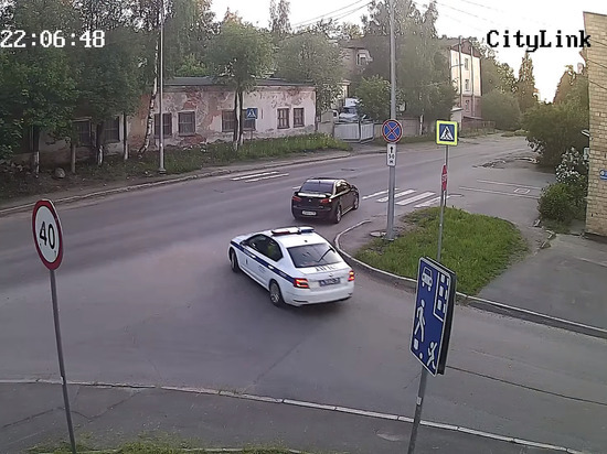 В Петрозаводске предприимчивый водитель спрятался от наряда ГИБДД в кустах