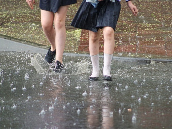 Дожди и солнце: прогноз погоды в Новосибирске на неделю озвучили синоптики