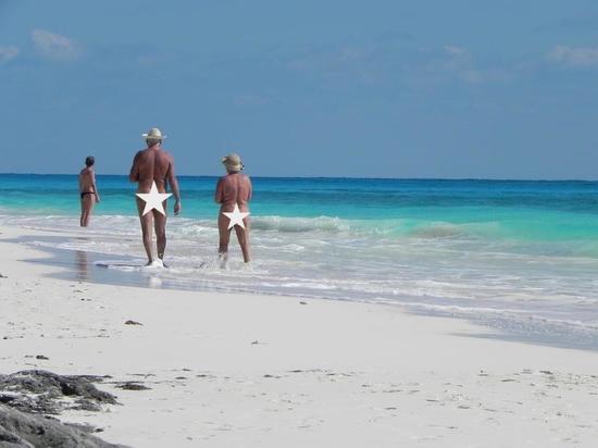 Новосибирцы недовольны разрастающимся пляжем нудистов в Академгородке
