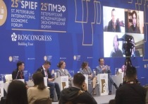В республике подводят итоги участия в Санкт-Петербургском международном экономическом форуме 2022 года