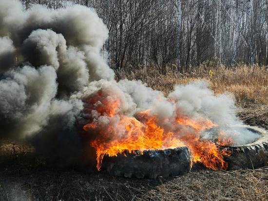 Четвертый класс пожарной опасности объявили в двух районах Сахалинской области