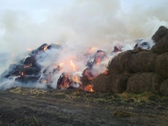 В Ростовской области сгорел стог сена