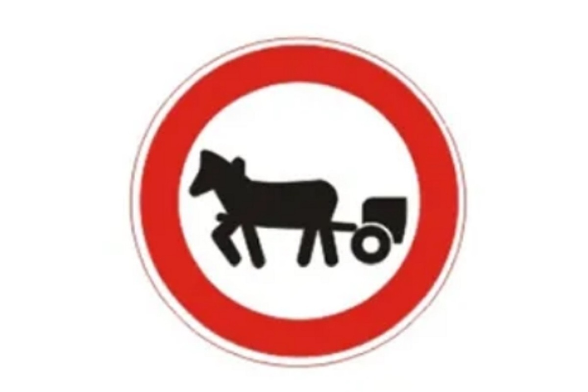 Костромские ДТП: лошадь против велосипеда
