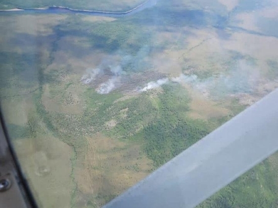 Три лесных пожара потушили за сутки в Забайкалье