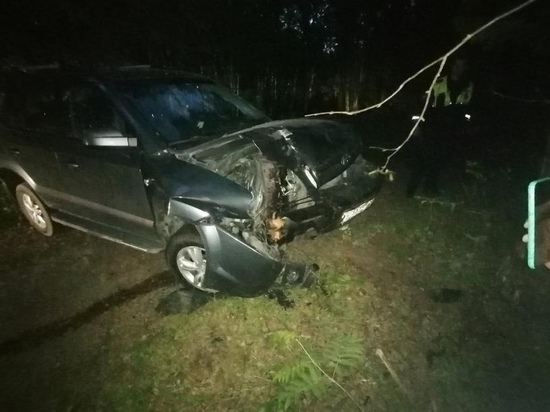 В Тверской области водитель сбил лося, после чего машина влетела в дерево
