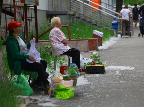 На улицах Челябинска обрежут тополя из-за пуха