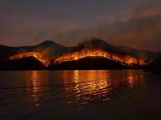 Ученые нашли следы древнейшего лесного пожара