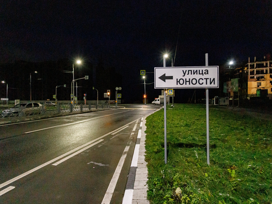 На 8 улицах Пскова планируют установить недостающие фонари