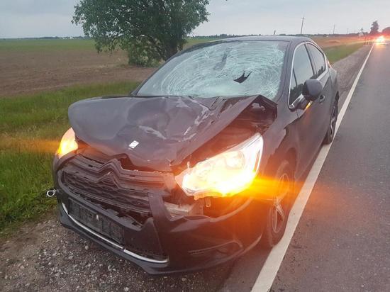 Пешеход погиб ночью под колесами автомобиля на дороге Неелово-Кривск