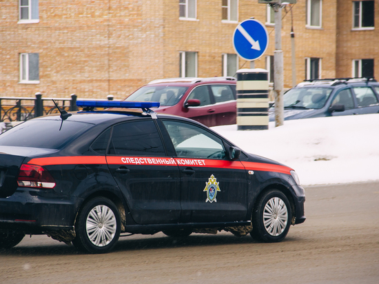Житель Рязанской области убил двоих таксистов из-за машин