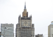 В МИД России вызвана временная поверенная в делах Литвы в РФ Виргиния Умбрасене