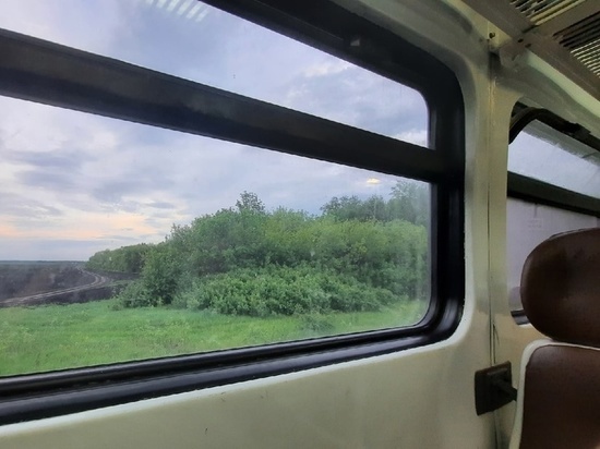 Юные тамбовчане до 7 лет смогут бесплатно ездить в пригородных поездах