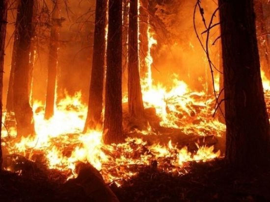 Учёные обнаружили следы древних пожаров в Уэльсе и Польше
