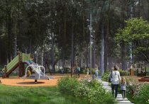 На северо-западе Москвы в Щукинском парке и Всехсвятской роще приступили к обустройству почти двух десятков современных детских площадок