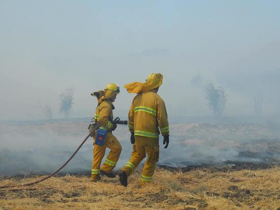 Крупный лесной пожар зафиксирован на севере Сахалина