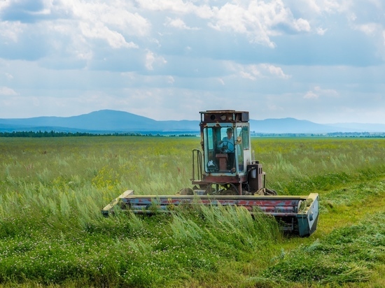 В Челябинской области обнулят ставку единого сельхозналога