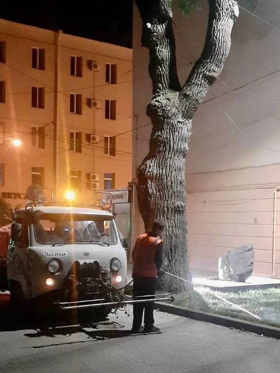  В Воронеже поливали деревья даже ночью в связи с жаркой погодой
