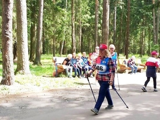В Иванове ветераны осваивают северную ходьбу