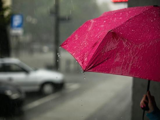 Калининградцев ожидает небольшой дождь 21 июня