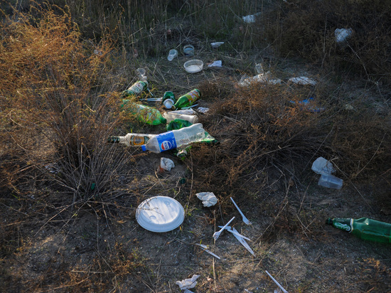 В Астрахани за полгода скопилось почти 5 тонн несанкционированного мусора