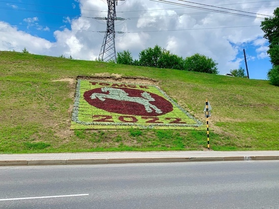 Жители Томска раскритиковали цветочный герб города
