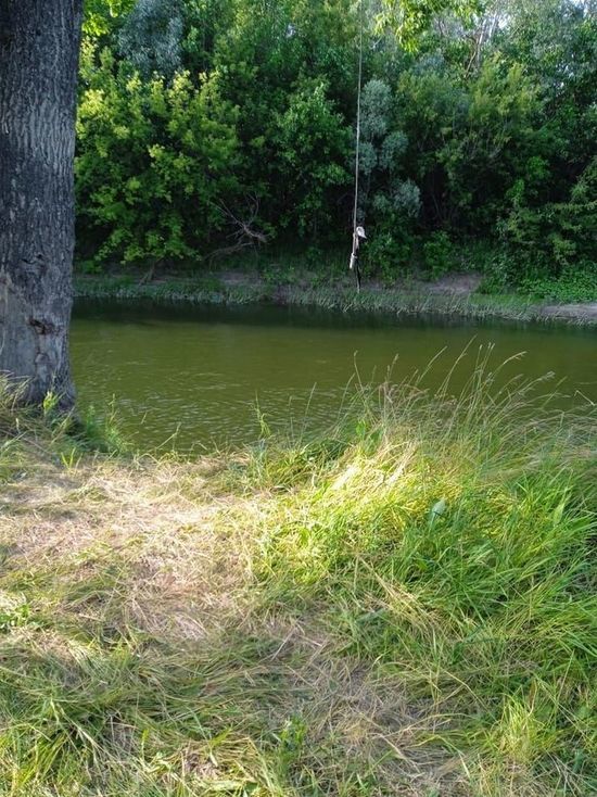 Под Воронежем 17-летний юноша прыгнул в воду с тарзанки и больше не вынырнул