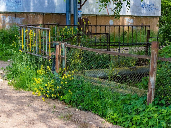 Новый забор установят детскому саду «Искорка» в Пскове до 1 августа