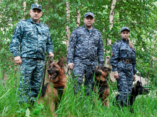 Кинологи Ноябрьска отмечают профессиональный праздник