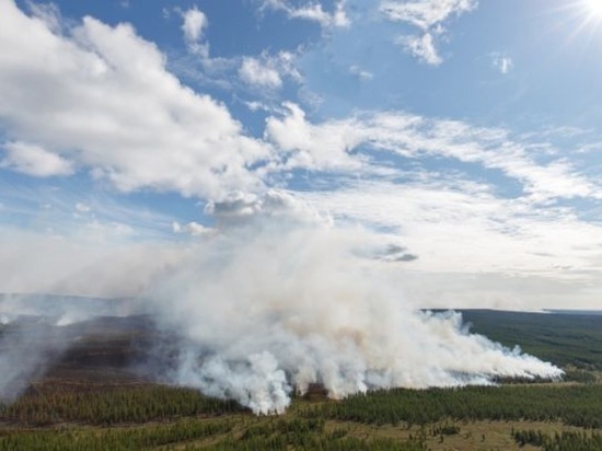 Число природных пожаров сократилось на Чукотке