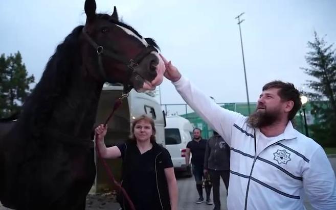 Кадырову подарили. Рамзан Кадыров на лошади. Шайр Кадырова. Конь Рамзана Кадырова порода.