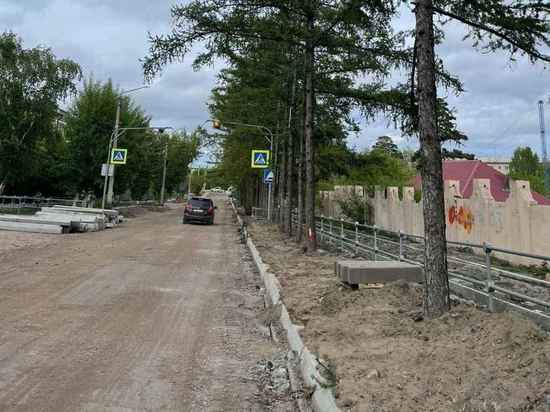 В Улан-Удэ при ремонте дороги загубили хвойную аллею у парка Орешкова