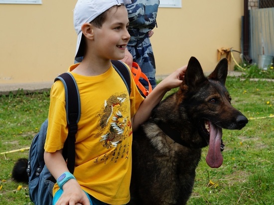В Иванове кинологи рассказали детям о секретах воспитания собак