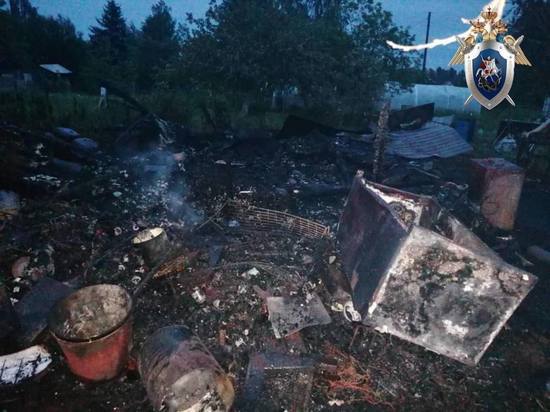 В Богородском районе пенсионер пытался сжечь жену вместе с домом
