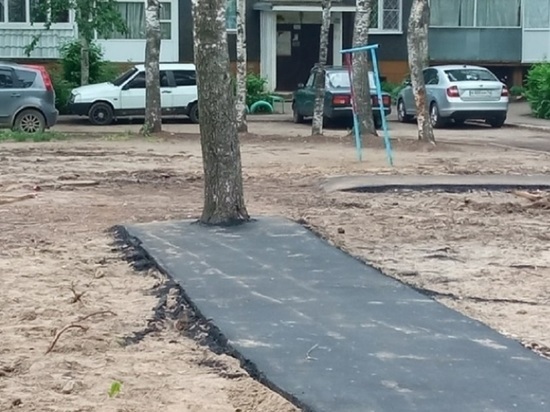 В Ярославле появилась асфальтовая дорожка идущая в березу