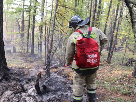 Количество пожаров в лесах Якутии меньше чем в прошлом году