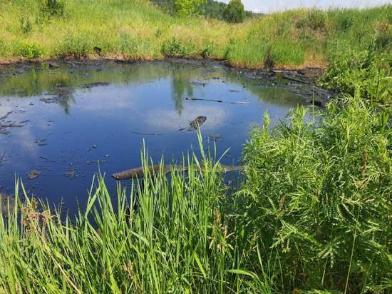 В Пензенской области сообщили о разливе нефтепродуктов