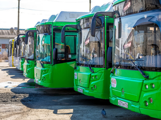 Для Челябинской агломерации закупят 81 новый экологичный автобус