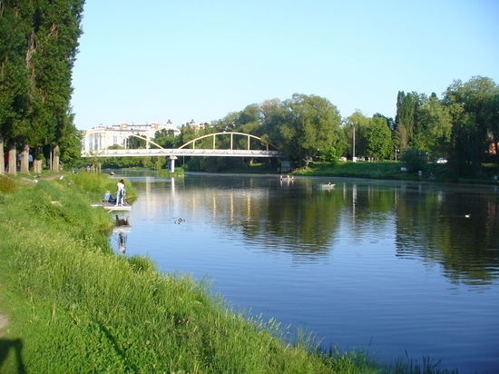 На расчистку реки Везелки в Белгороде уйдет два года