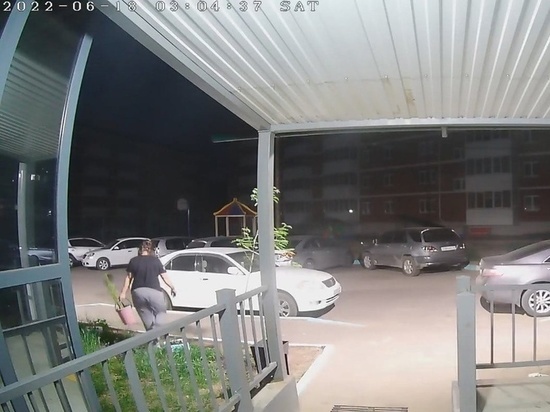 В Улан-Удэ камеры видеонаблюдения зафиксировали похитительницу саженцев