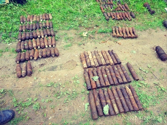 В Духовщинском районе найдены и уничтожены боеприпасы времен войны