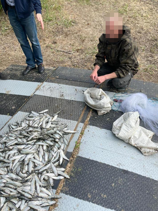  В Ростовской области браконьер выловил рыбу на 1,7 миллиона рублей