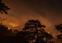 Министр сельского и лесного хозяйства Турции Вахит Киришчи заявил, что в отношении лесного пожара в курортном городе Мармарис есть подозрения о диверсии
