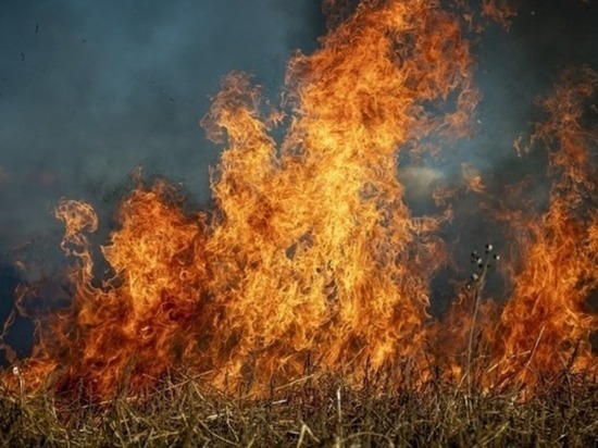 Штрафы для виновников лесных пожаров увеличили в 10 раз в Забайкалье